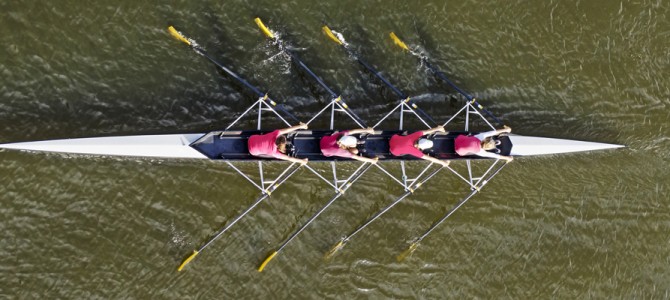 “If you could get all the people in an organization rowing in the same direction, you could dominate any industry, in any market, against any competition, at any time.”  ~Patrick Lencioni, The Five Dysfunctions of a Team